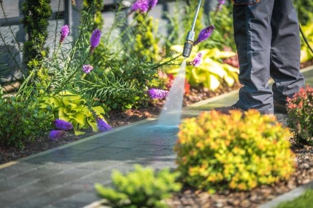 Best Gutter Cleaning  in Alma, NE